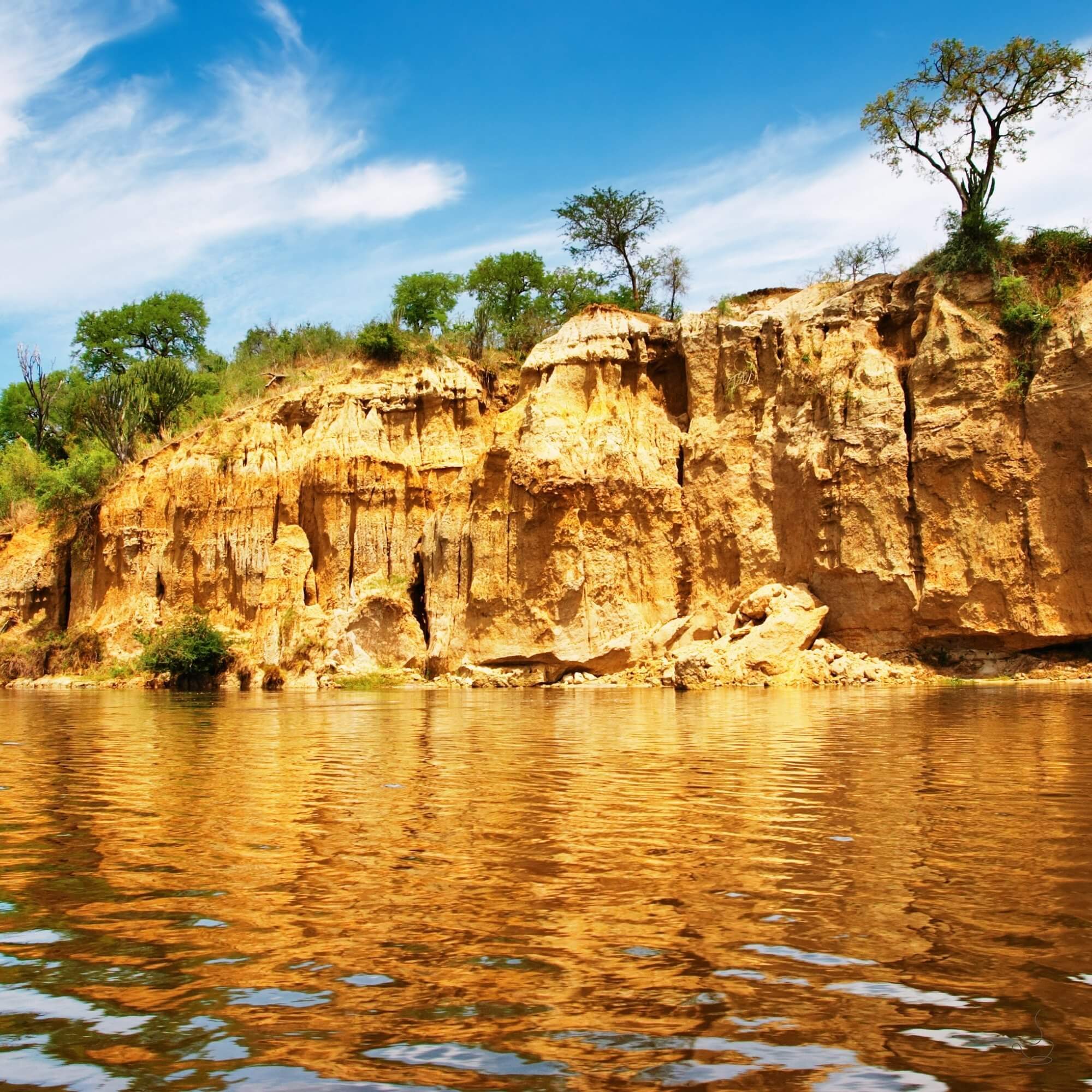 Mount Elgon highland coffee farms and terraces