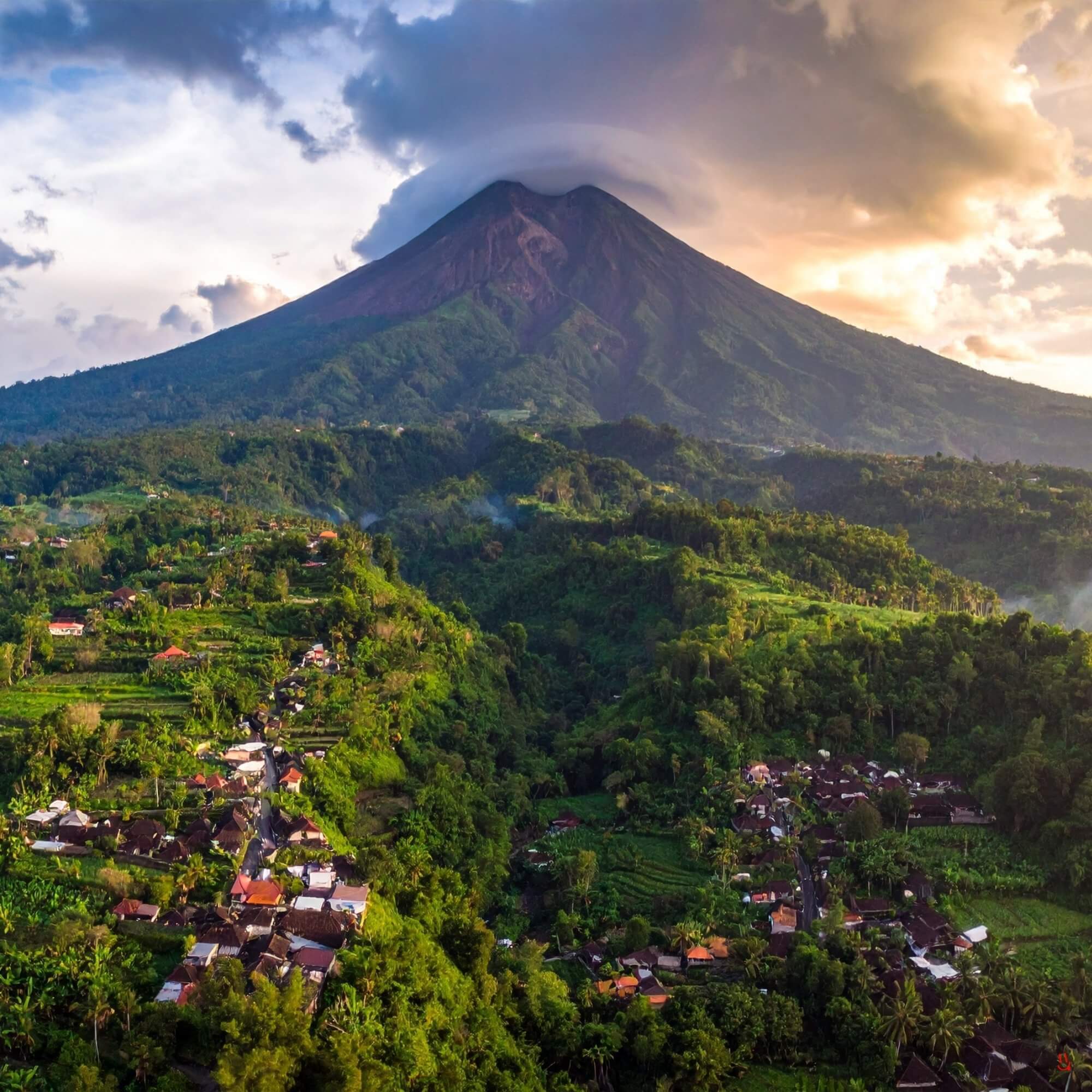Indonesian coffee landscape