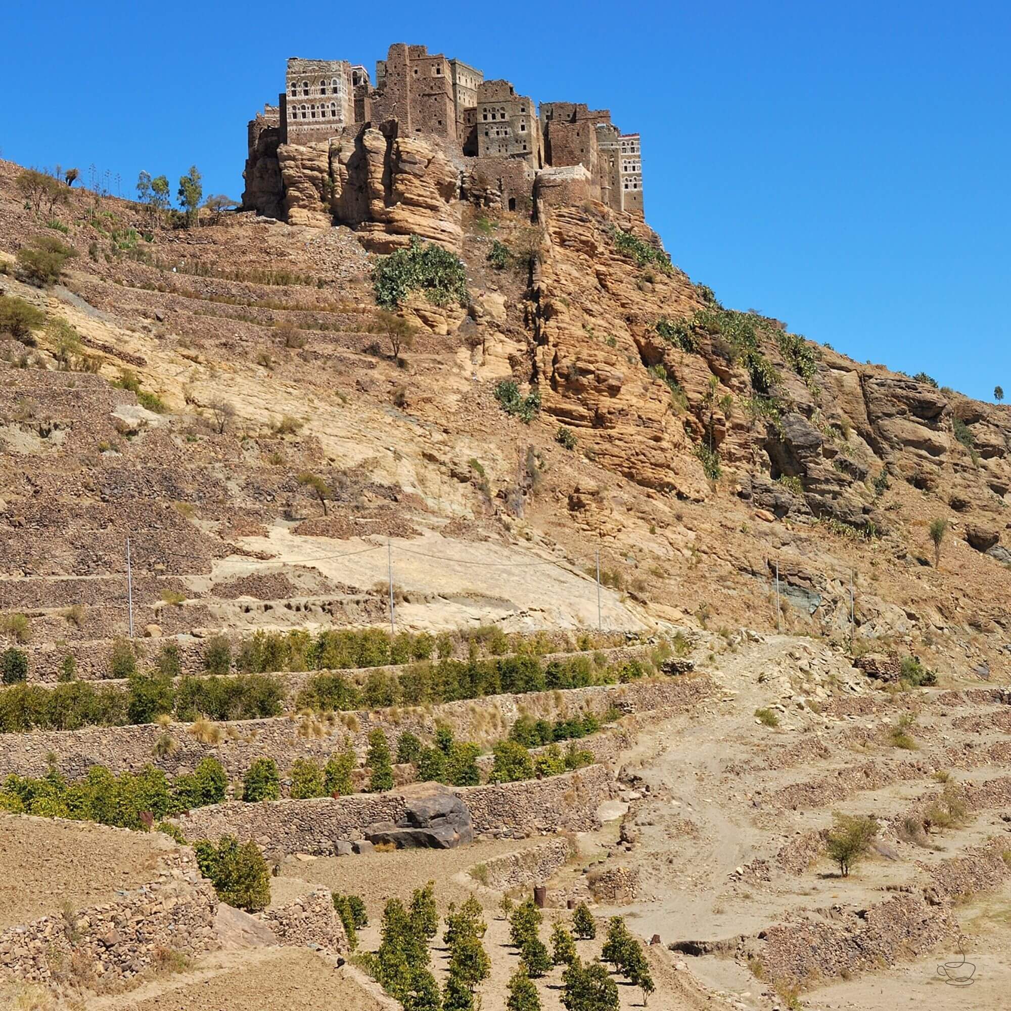 Bags of Yemen coffee lots with markings