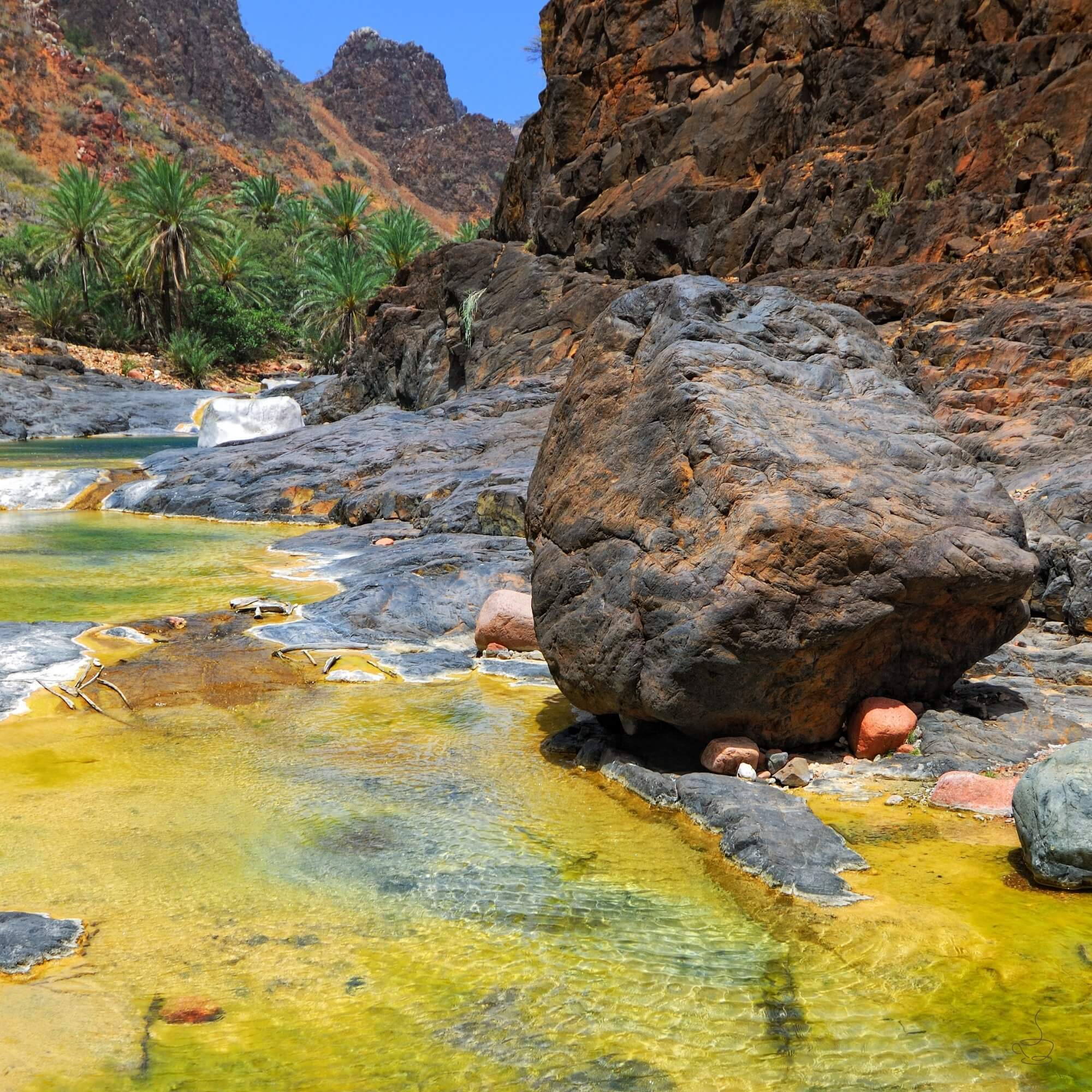 Historic Yemeni port city skyline