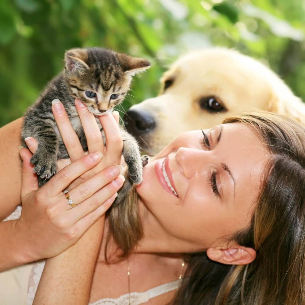 Female holding kitten with dog in the background