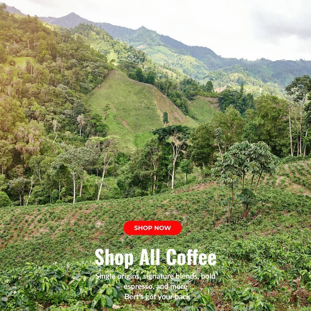 Lush coffee farm on a green mountain slope representing the global origins of Coo Coo’s Coffee offerings including single origin, blends, and espresso