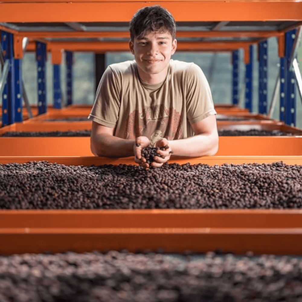 Coffee Beans & Brews