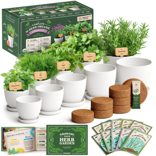 Seedboy Organic Non-GMO Herb Seeds for Planting (Herb Garden Starter Kit)