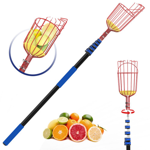 SKGPOLE 30FT Reach Fruit Picker, 5-24 Foot Sturdy Aluminum Telescoping Fruit Picker Extension Pole with Metal Twist-on Basket, Suit for Apple Pear Lemon Mango Guava Orange Avocados Tree Fruit Picking