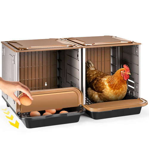 Chicken Nesting Box, 2 Compartment Nesting Boxes for Chickens, Large Chicken Laying Boxes for Egg Collection & Hen on Nest, Roll Away Nesting Boxes Chicken (Extra Large)