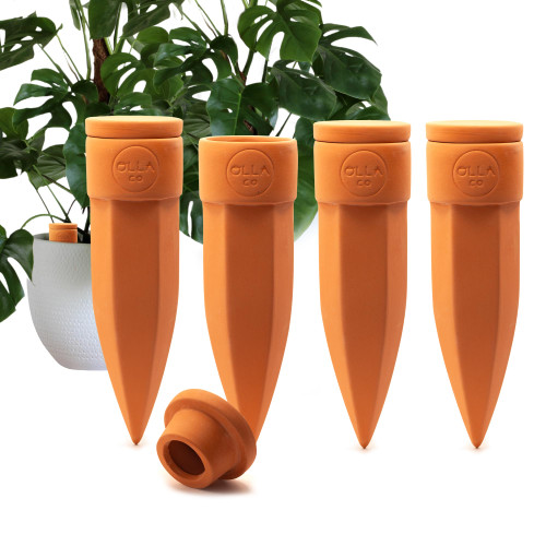 The Olla Company Terracotta Watering Spikes with Lids, Large 4 Pack