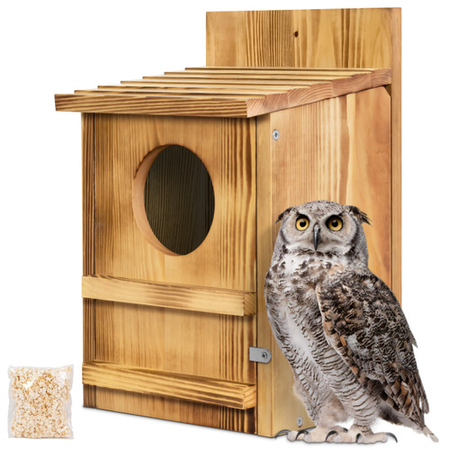 Screech Owl House, Large Wooden Circular Opening Screech Box for Outside