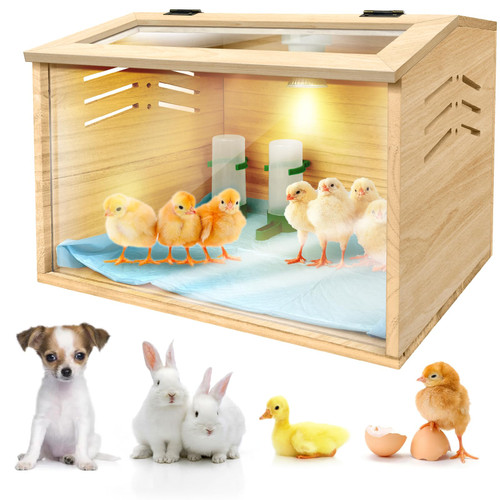 Chicken Brooder Box for Chicks & Quail with 3 Absorbent Pads, Feeder and Waterer - Adjustable Temperature Control Brooding Box for Small Chicken Coop & Quail Cage (15.7x12x12 Inches) ﻿