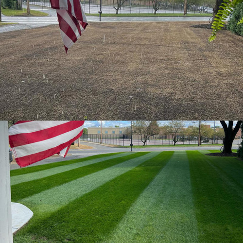 Perennial Ryegrass Fireball and Hatrick – 25 lbs