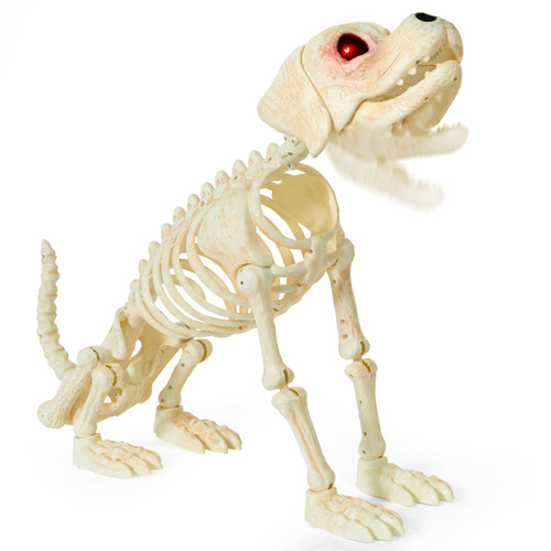 JOYIN Halloween Golden Retriever Skeleton 34” Animal Dog Plastic Skeleton with Glowing LED Eyes & Spooky Sounds, Moving Jaw, Posable Joint for Haunted House, Yard Graveyard, Indoor Outdoor Decor