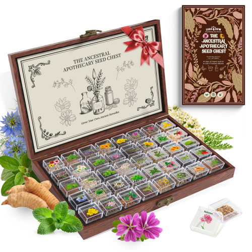 Lush&Dew Ancestral Apothecary Medicinal Tea Herb Seed Chest, Gardening Gift