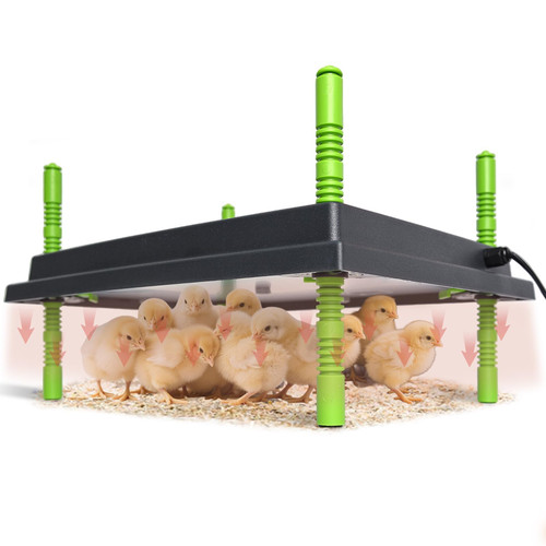 Shaledig 12" x 16" Chick Brooder Heater Plate for 40 Baby Chicks Ducks