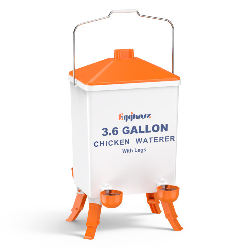 Eggluuz 3.6 Gallons Chicken Waterer Bucket with Water Cups, Adjustable Legs and Anti-Roost Cone