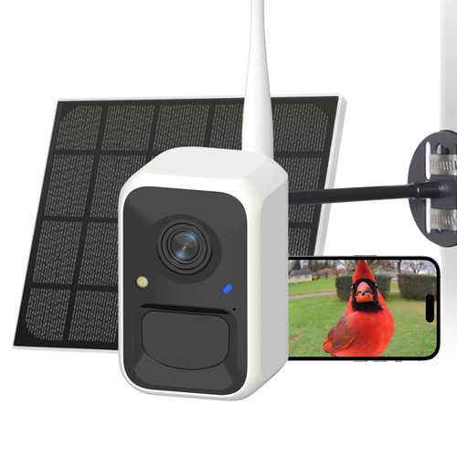 NETVUE by Birdfy Bird Camera for Feeder/Bath Birdwatching, Instant Alerts
