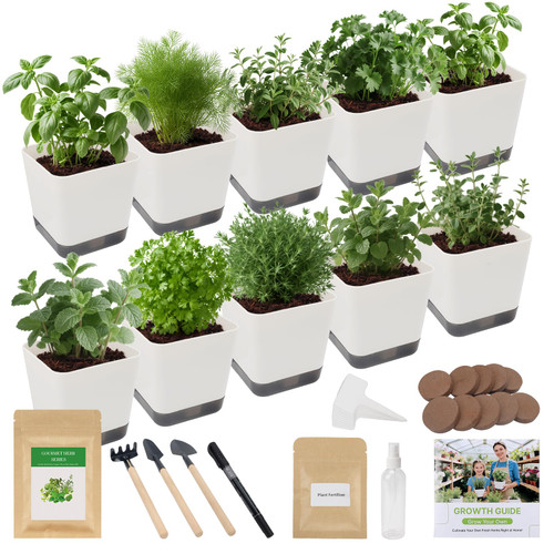 10-Set Indoor Herb Garden Starter Kit, 7 Seeds Growing into Basil, Parsley, Thyme, Mint, Cilantro, Dill, Oregano Including 10 White Pots, Markers, Nutritional Soil, Ideal Christmas Gifts for Women