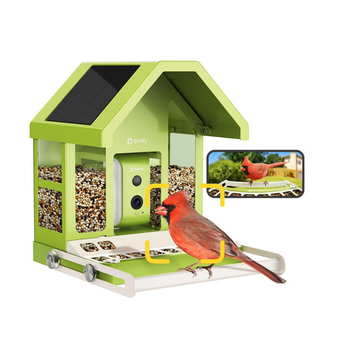 Birdfy Smart Bird Feeder with Camera Solar Powered, Premium Metal Design