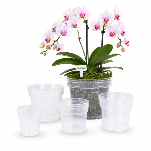 VIGORTIES 15 Pack 4/5/6/8/10" Clear Nursery Pots with Drainage & 15 Tags