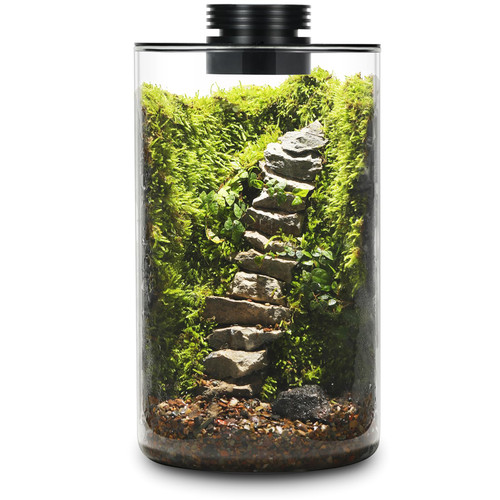 Desktop Glass Plant Terrarium with Grow Light for Carnivorous Plants & Moss