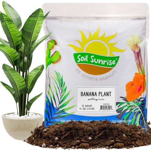 Soil Sunrise Banana Tree Potting Soil Mix (12 Quarts) – Hand-Blended Indoor/Outdoor Mix for Healthy Banana Plants – Enhances Drainage & Root Support – Made in USA