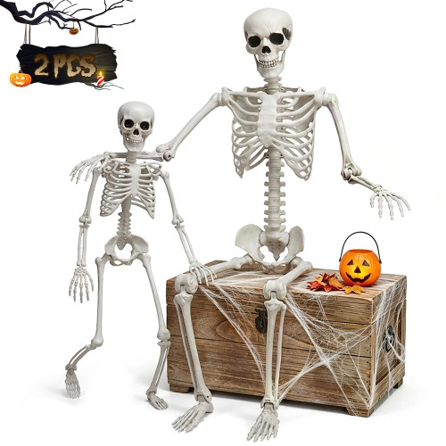 5.4ft & 3ft Halloween Life Size Skeleton with Movable Joints for Halloween