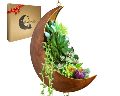 Hanging Moon Planter - Moms Day Gift - Moon Room Decor - Unique Planters for Succulents & Air Plants - Plant Lover Gifts - Boho & Hippie Style