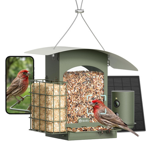 Birdfy Smart Bird Feeder with Camera, Solar Powered, Gift for Bird Lovers