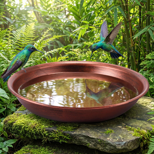 Dunkive Bird Bath Bowl, Vintage Metal Bird Bath for Outdoor