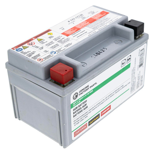 CUB CADET 490-280-F016 Battery AGM 7AHR CC 30 H Hydro Mini Rider 725P17136