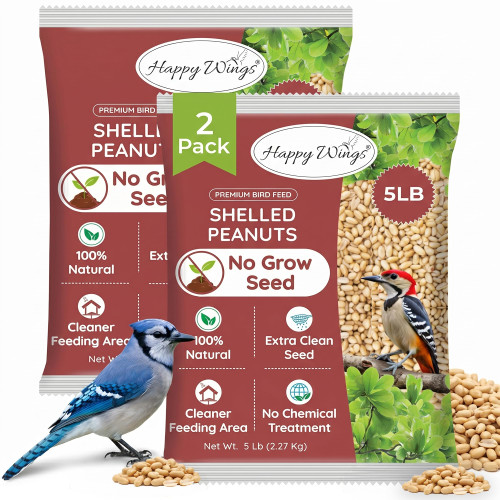 Happy Wings 10LB Shelled Peanuts Bird Food, No Grow Seeds, 100% Edible