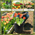 20 Pack 3 Gallon Plant Nursery Pots,Plastic Seedling Pot with Drainage Hole