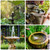 Biling 7.5W Solar Water Pump Outdoor 80 GPH with Dry-Run Protection