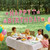 18 Pcs Happy Birthday Yard Sign with Stakes, Pink Happy Birthday Yard Sign with 49.2 Ft LED Light, 16 In Large Personalized Happy Birthday Sign, Waterproof Lawn Garden Birthday Party Decorations
