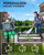 Insoma 3 Outlet Sprinkler Timer Brass Inlet & Outlet, Programmable Garden Hose Timer with Rain Delay, Manual& Automatic Watering System