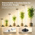 360° Grow Lights for Indoor Plants with Stand, Up to 67'' Adjustable Height