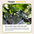 AROID Potting Mix/Premium Soil for Monstera, Philodendron, Alocasia, Anthurium – Chunky, Optimally Aerated Soil – Organic & Ready to Use – Supercharges Root and Foliage Growth (8 QTS)