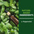 Squirrel Repellent Outdoor, Chipmunk Deterrent, Squirrel Away -12 Packs