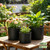 Areutxbis 10/9/8 Inch Plant Pots 3 Pack, with Drainage Hole & Saucers