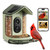 Kiwibit Solar Powered Smart Bird Feeder with Camera 2 Mini, 4K Live Stream