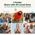 Kiwibit Solar Powered Smart Bird Feeder with Camera 2 Mini, 4K Live Stream