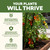 5-10-10 Fertilizer - Great for Vegetables, Tomatoes & Flowers, 1 Gal