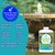 PondBliss Fountain Algaecide and Clarifier Controls and Cleans Algae - 32oz