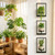 bbteroiu Picture Frame Wall Planters Set of 3, Modern Metal Hanging Shelves for Plants, Rustproof Wall Mount Flower Pot Holder for Indoor Outdoor, Decorative Plant Stand for Living Room Patio, Gold