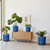 Eightpot 12 Inch Pot for Plants - Ceramic Planter for Indoor Plants Large Plant Pot with Drainage Holes and Saucer Outdoor Flower Pot Decorative Round Planter for Porch Office Decor Blue