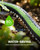 RAINPOINT 25FT Flat Soaker Hose, Heavy-Duty Flexible Drip Hose