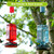 Tegarbed 20oz Glass Hummingbird Feeder for Outdoors Hanging, Bird Nectar Feeder with 4 Bee Guard Flower-Shaped Feeding Ports & Built-in Ant Moat, for Bird Lover, Red (2 Pack)