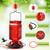 Tegarbed 20oz Glass Hummingbird Feeder for Outdoors Hanging, Bird Nectar Feeder with 4 Bee Guard Flower-Shaped Feeding Ports & Built-in Ant Moat, for Bird Lover, Red (2 Pack)