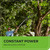 Greenworks 60V 10 in Electric Pole Saw, 2.0 Ah Battery and Charger