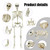 NEROSUN 5.4FT Halloween Skeletons Decoration, Posable Life Full Size Skeleton with Dog Skeleton, Realistic Plastic Human Bones for Halloween Props Haunted House Graveyard Party Decor