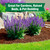 Back to the Roots 100% Organic Mulch, 58 Quart (2 Cubic ft), Expanding Coconut Husk Block for Gardening